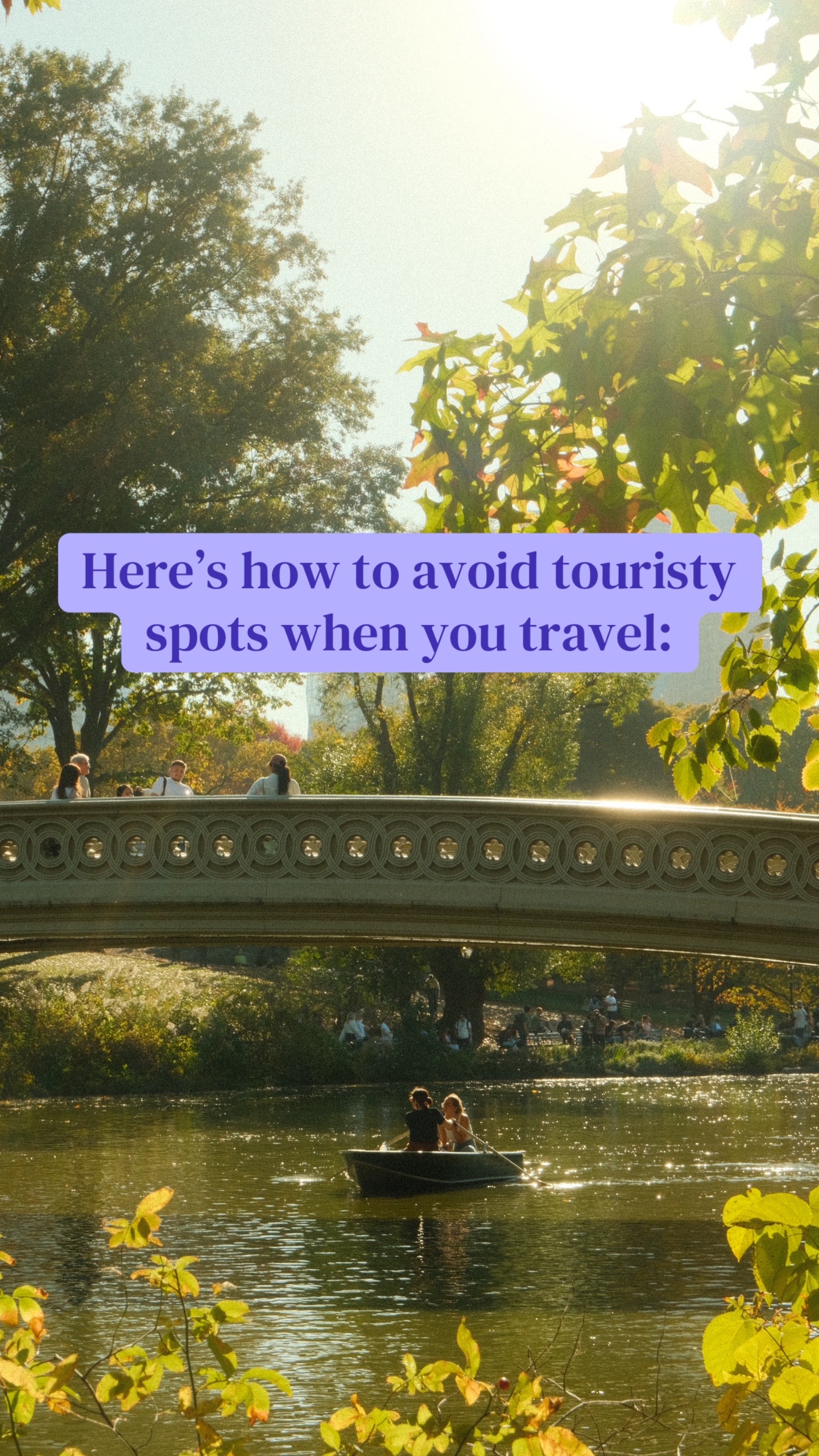 @Faye Travel Insurance