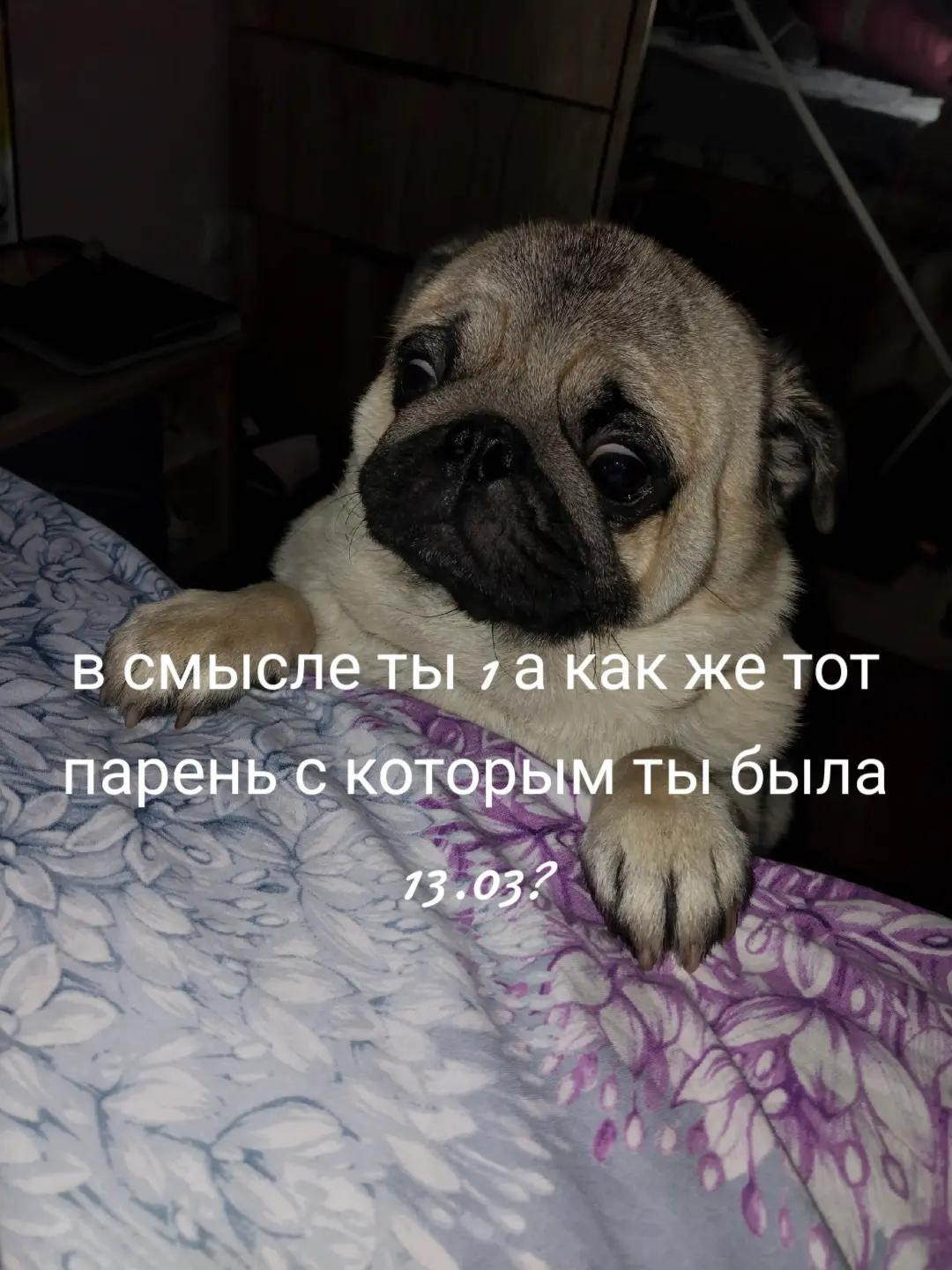 @kenvyx𐙚