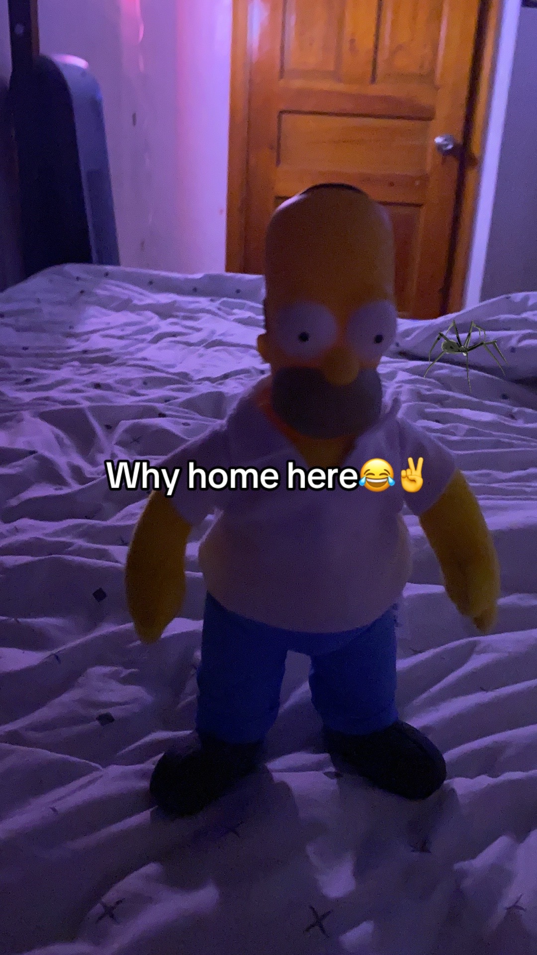 @🤖🎵👾//Ꮢ&Oslash;𐌍𐌀𐌋𐌃\🤖🎵👾
