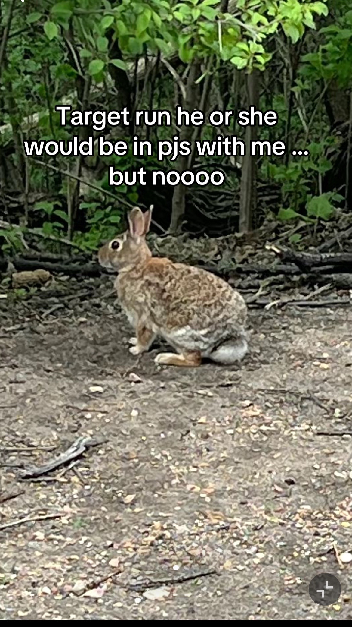 @LMM