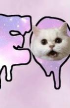 @≽^•⩊•^≼