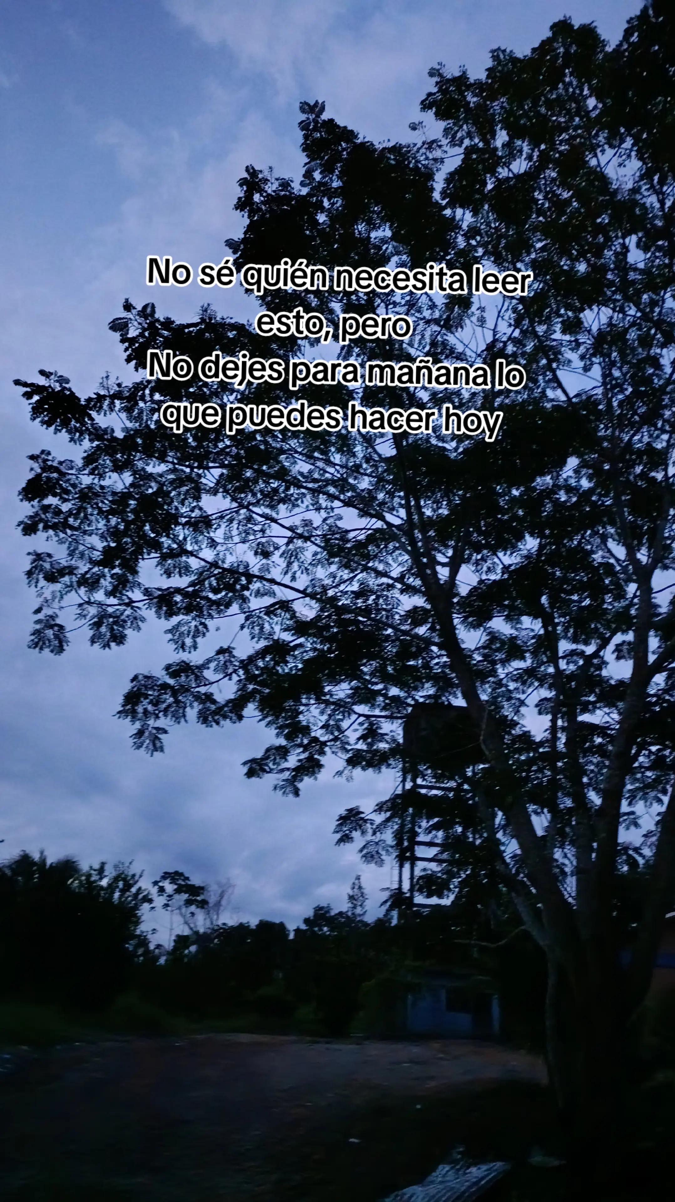 @Maria Jose Zambrana
