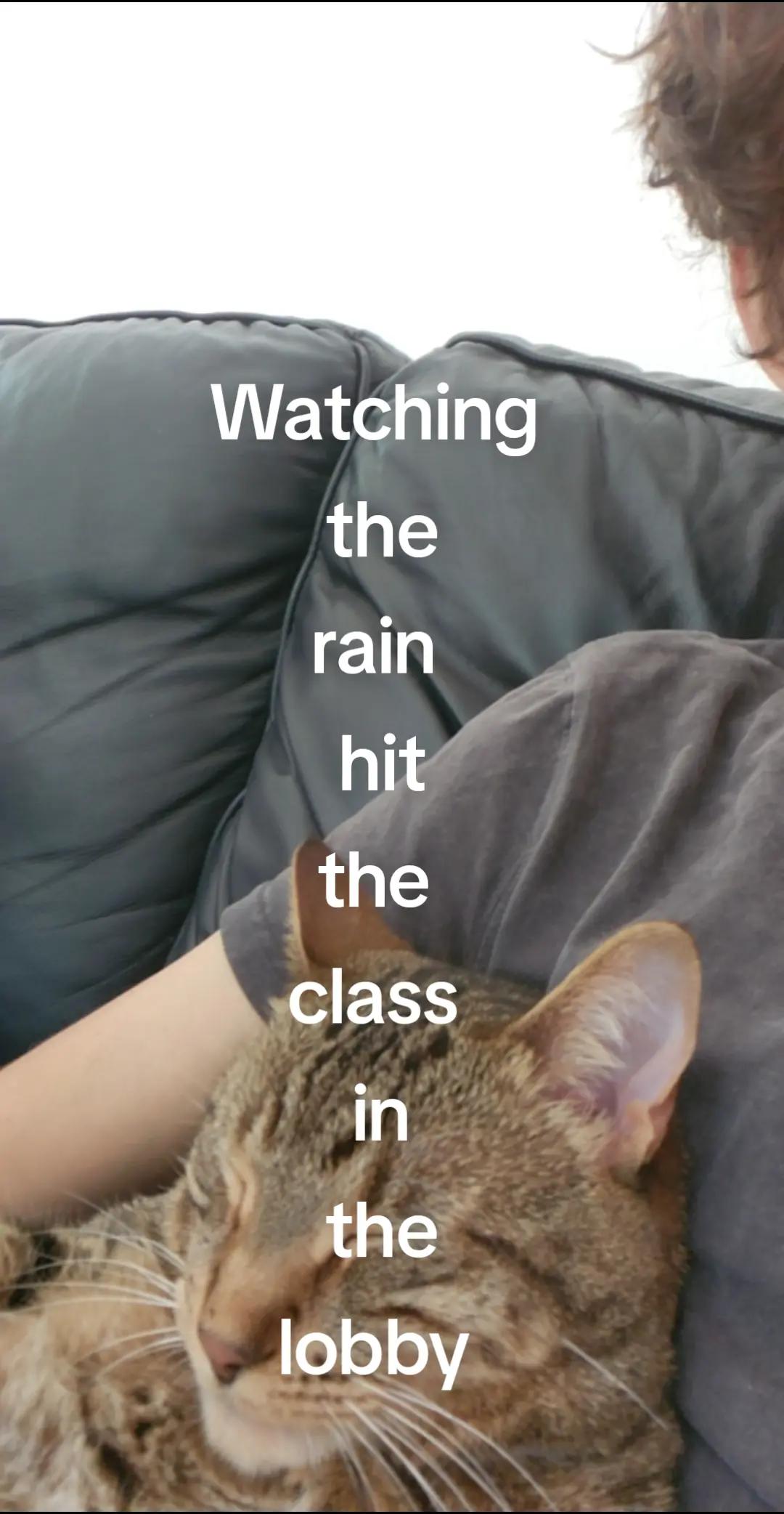 @petethecat2025$!