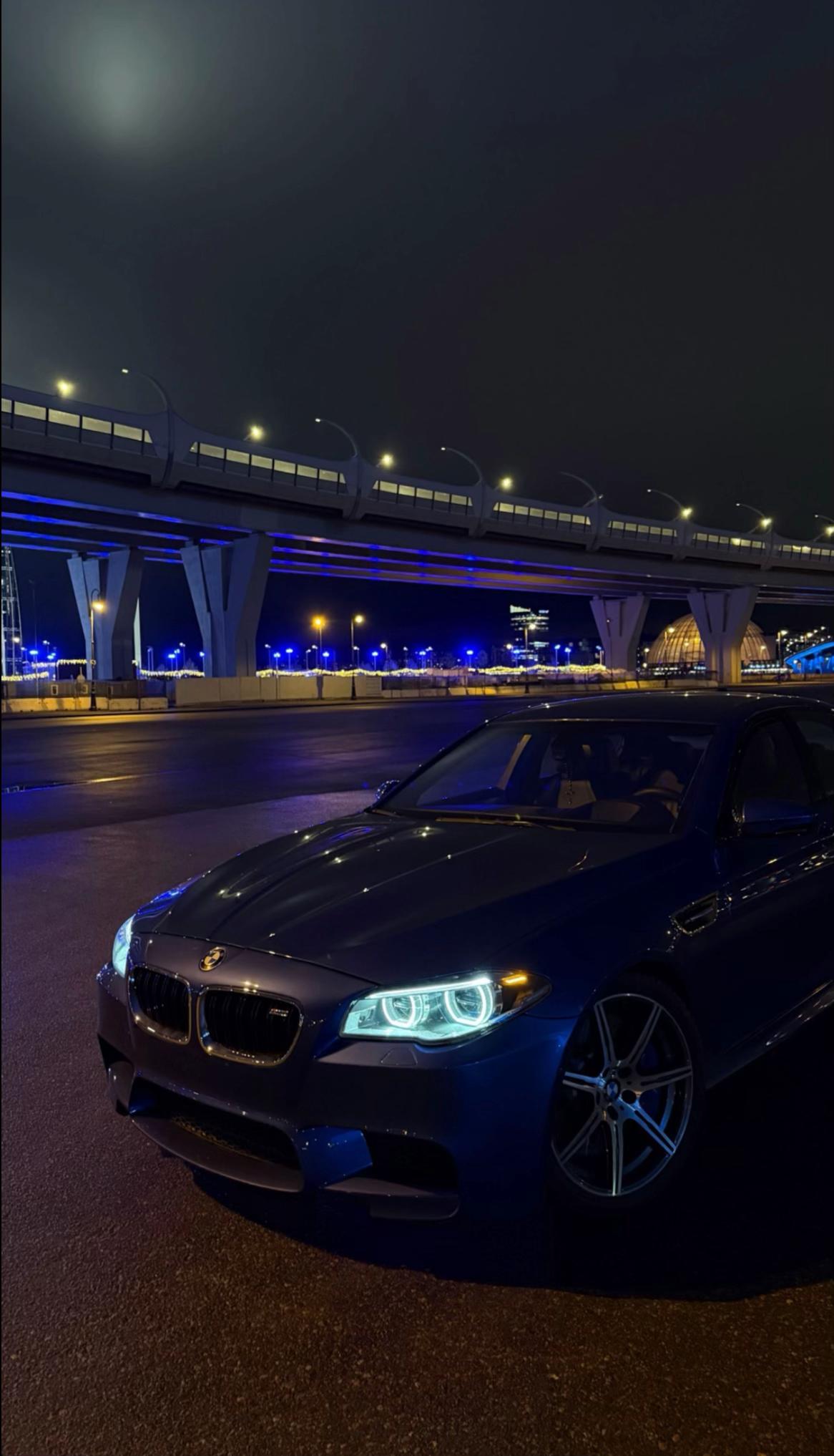 @AL1EV.o49
