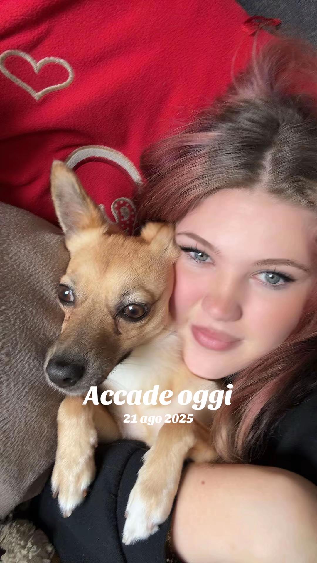 @serenax❤️amy❤️