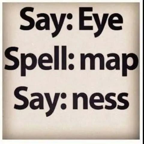 @Raz Erel