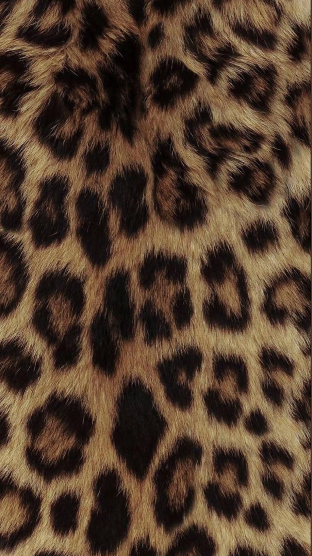 @Stefania Sterrantino