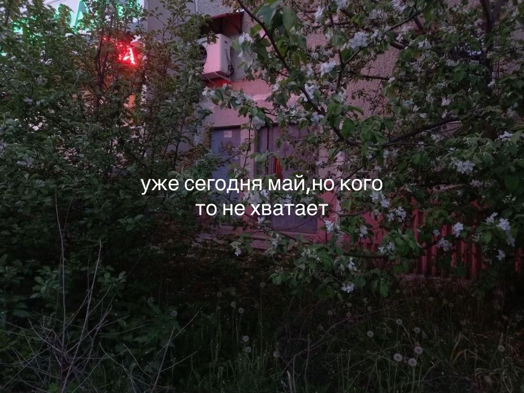 @lonely