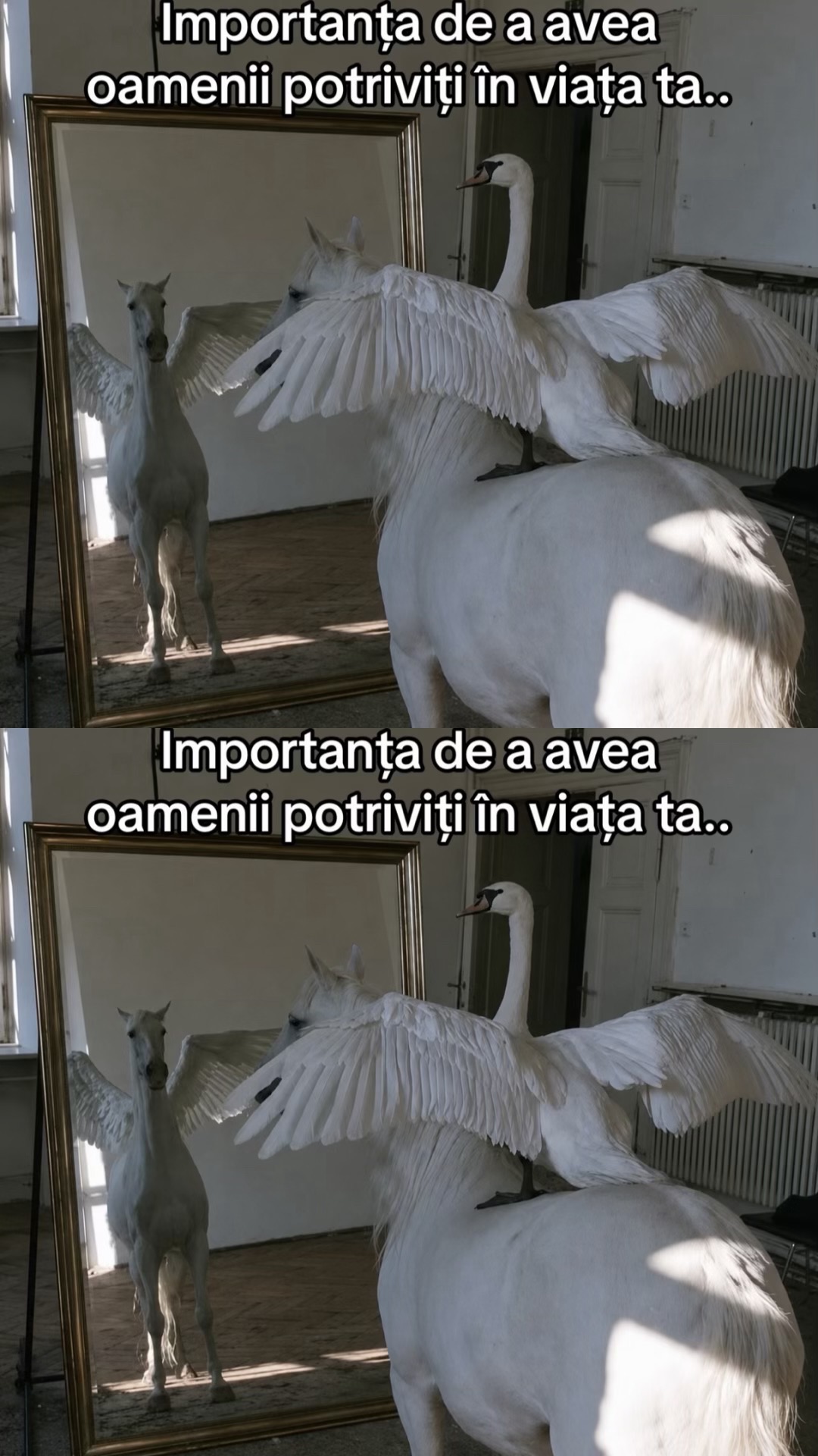 @Roxana Mihaela