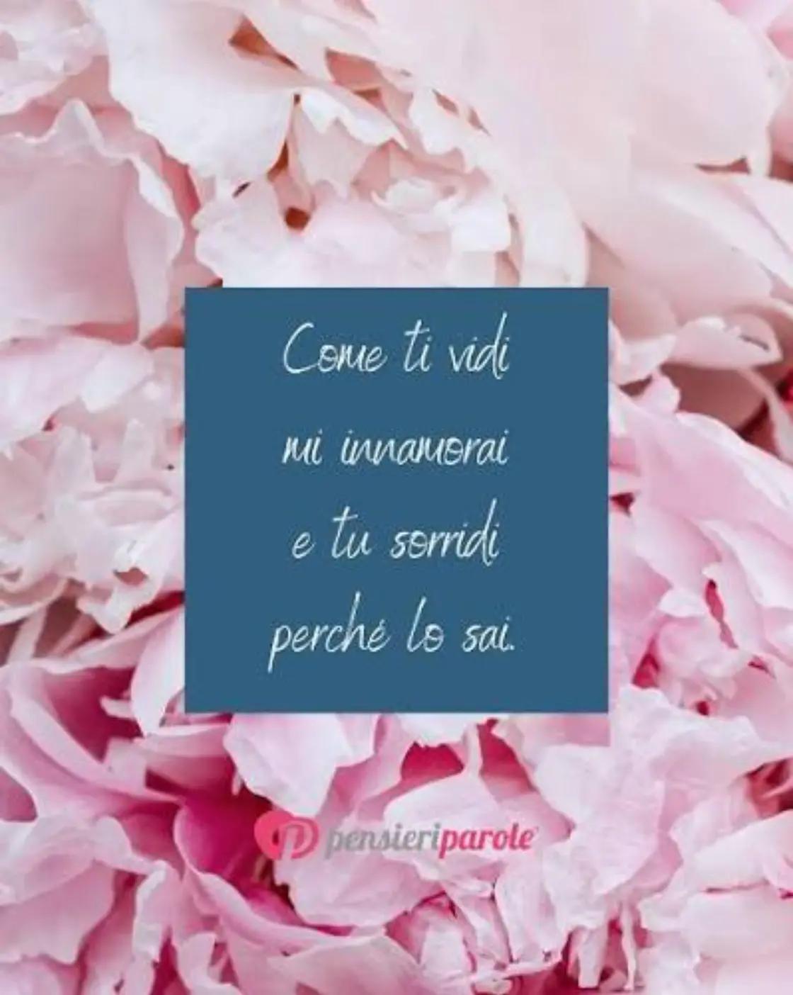 @Ninoilcamionistasiciliano🚛