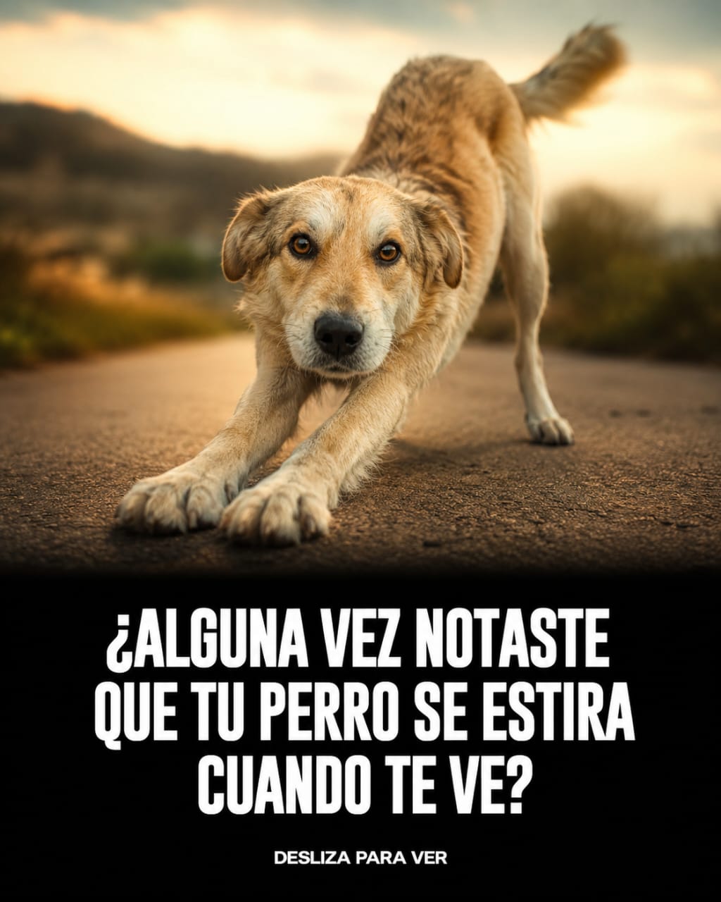 @Cris Urzua
