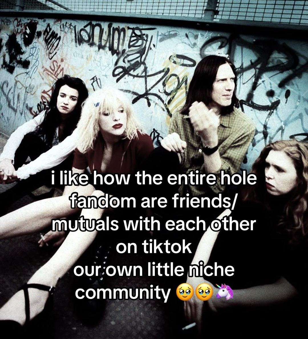@skye ᖭི༏ᖫྀ 🌸(hole’s version)