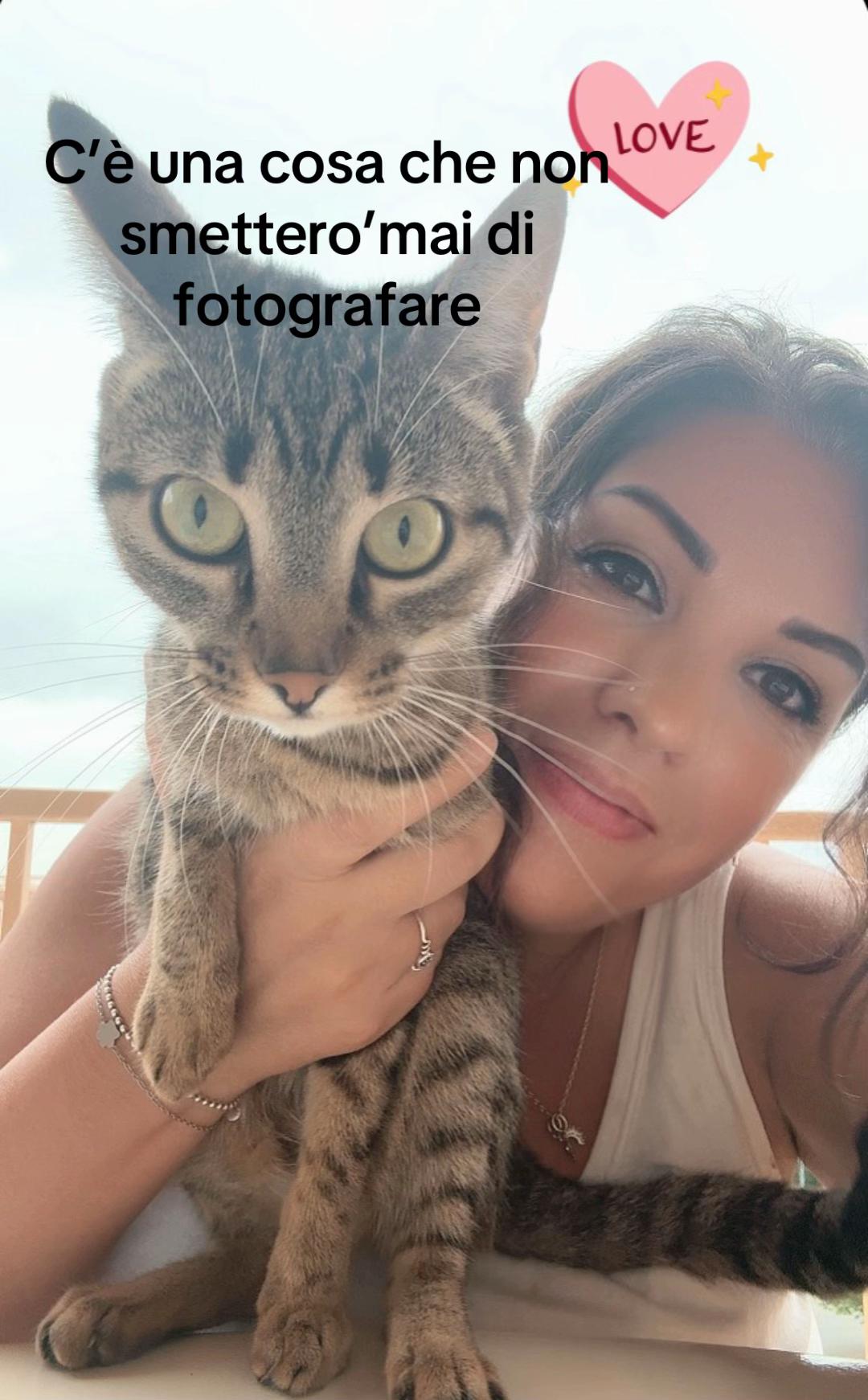 @Lallaspank