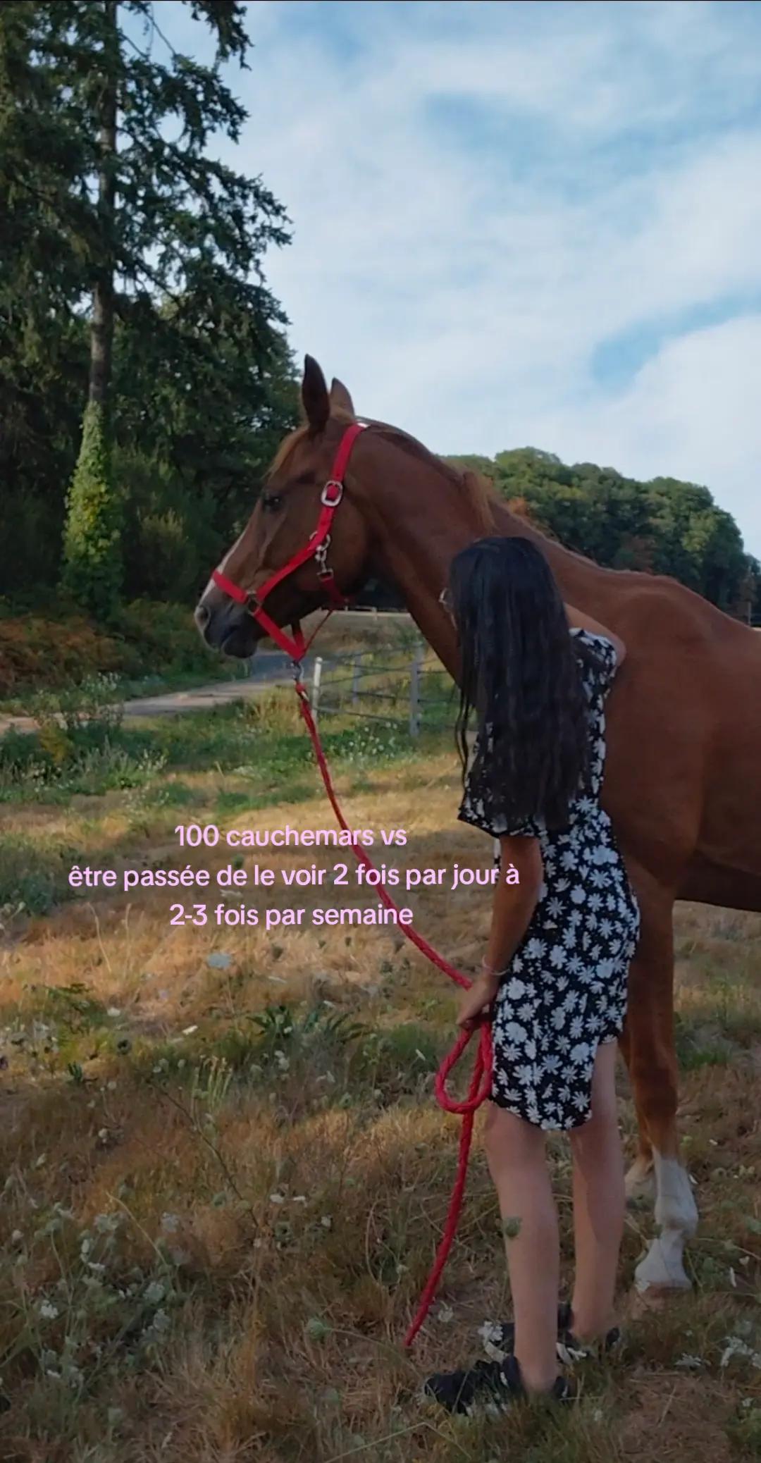 @un_coeur_alezan