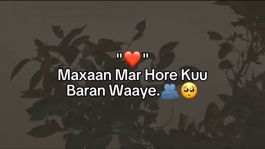 @😍F4RH44D🖤