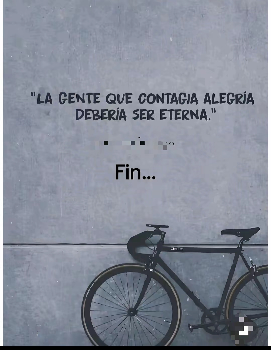 @lucia