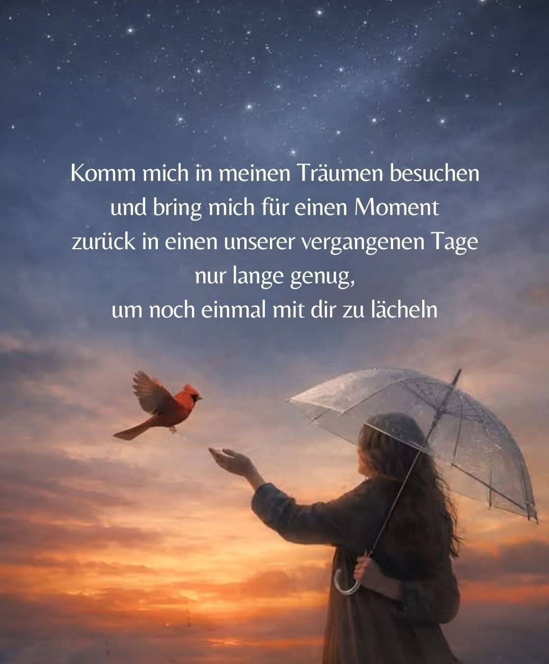 @Susanne Hansi Domann