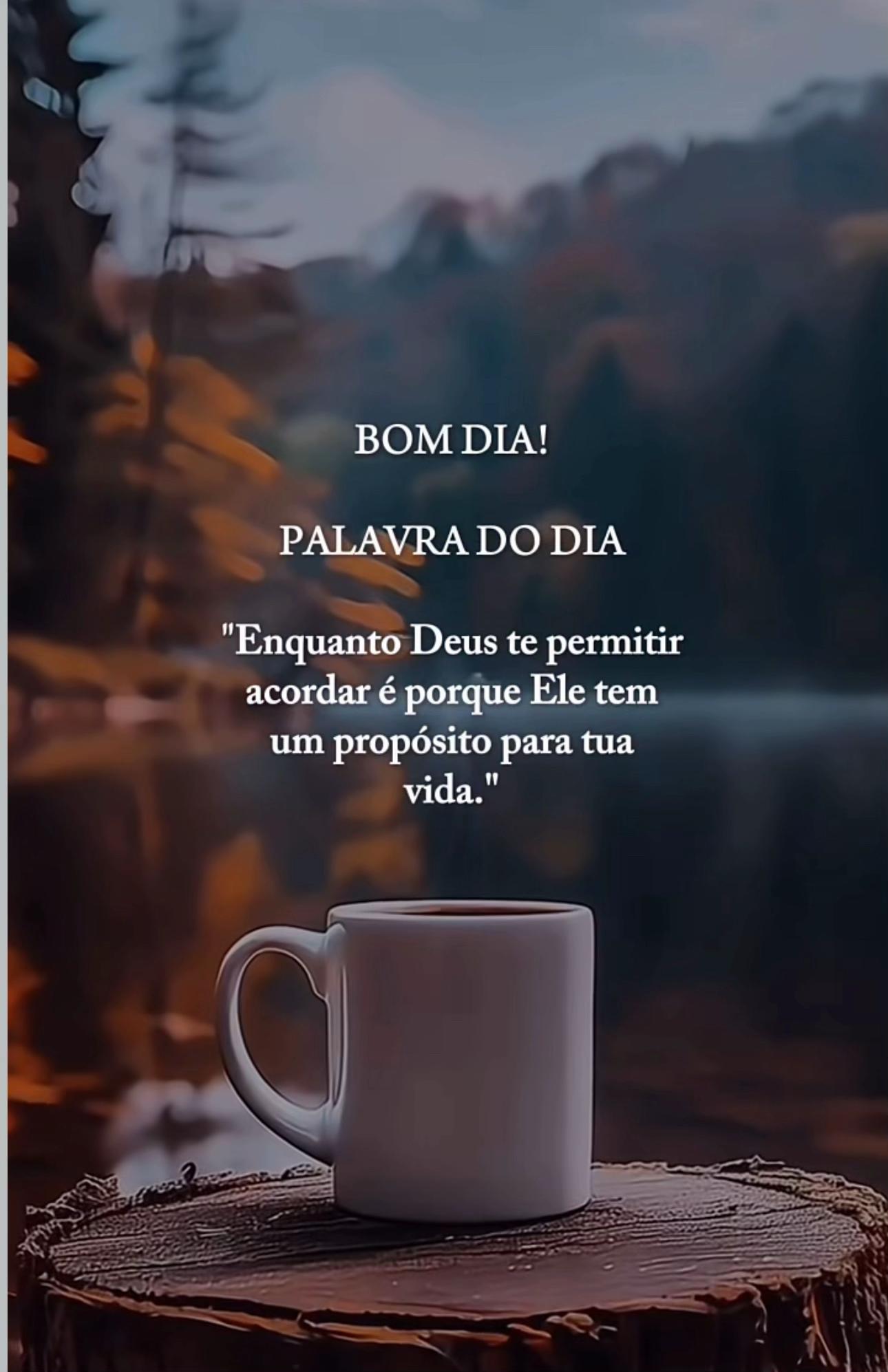 @Palavras de Sabedoria