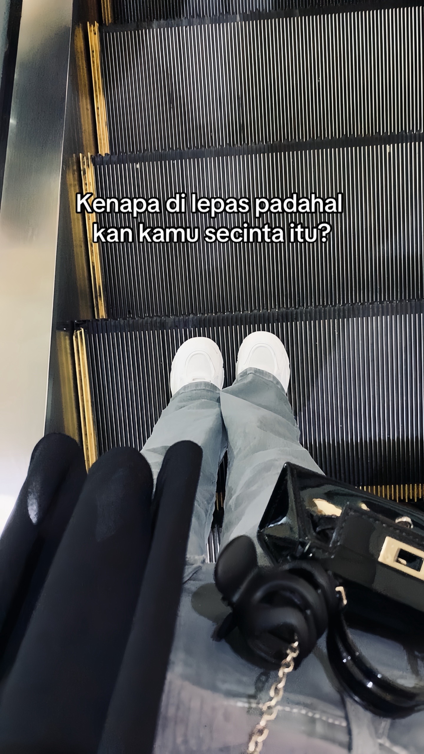 @matasayu🐼