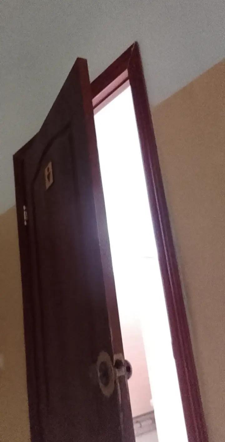 @крыска котик