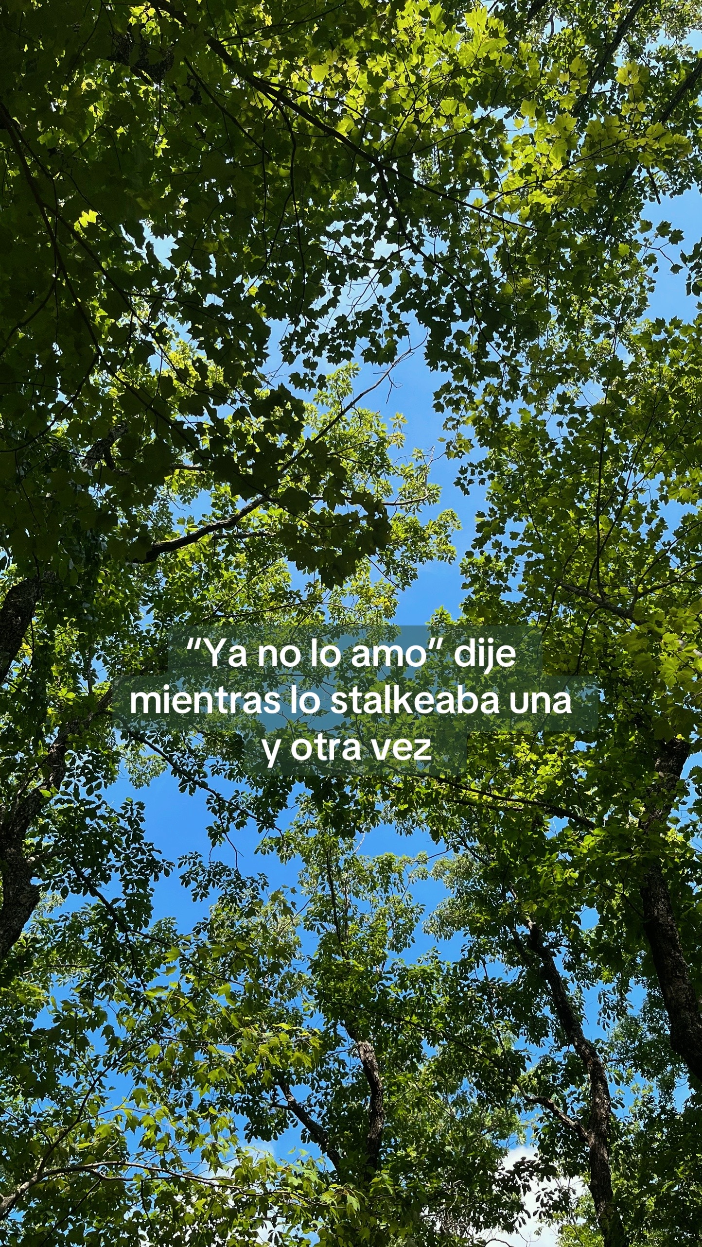 @Estefany_1