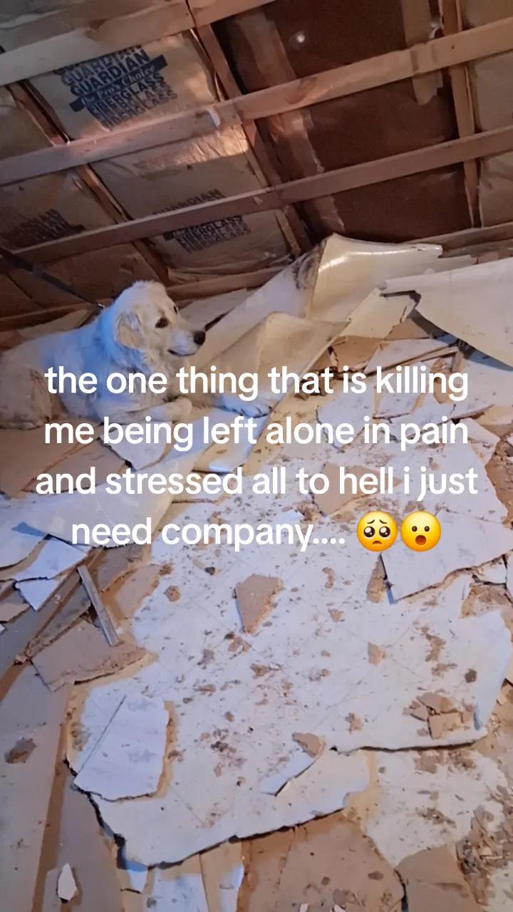 @joshuamoore202