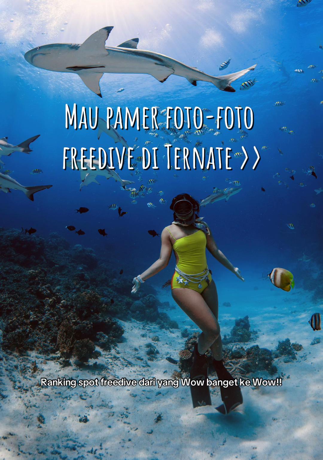 @Yuki | Diving & Traveling