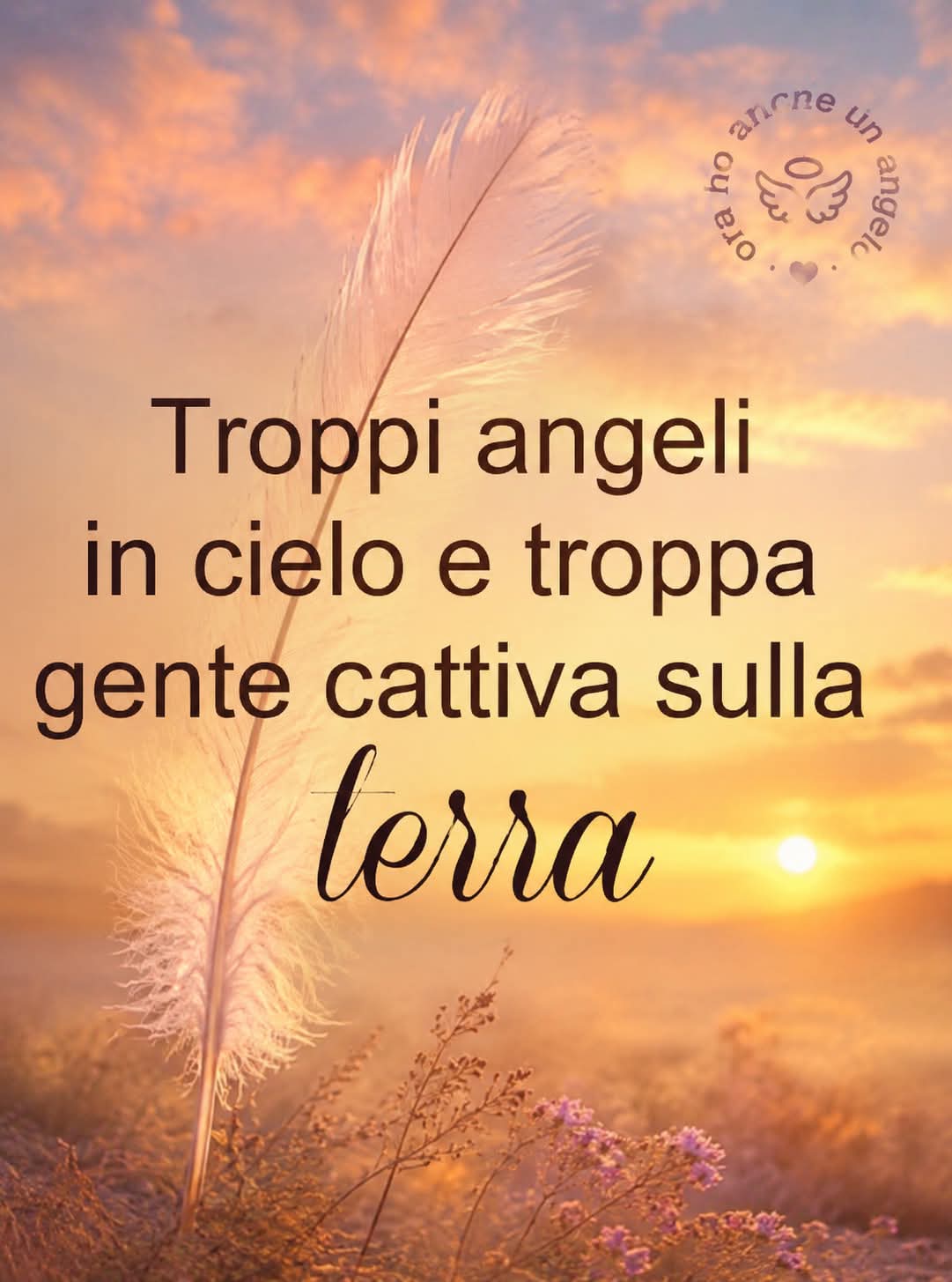 @ritamaci72