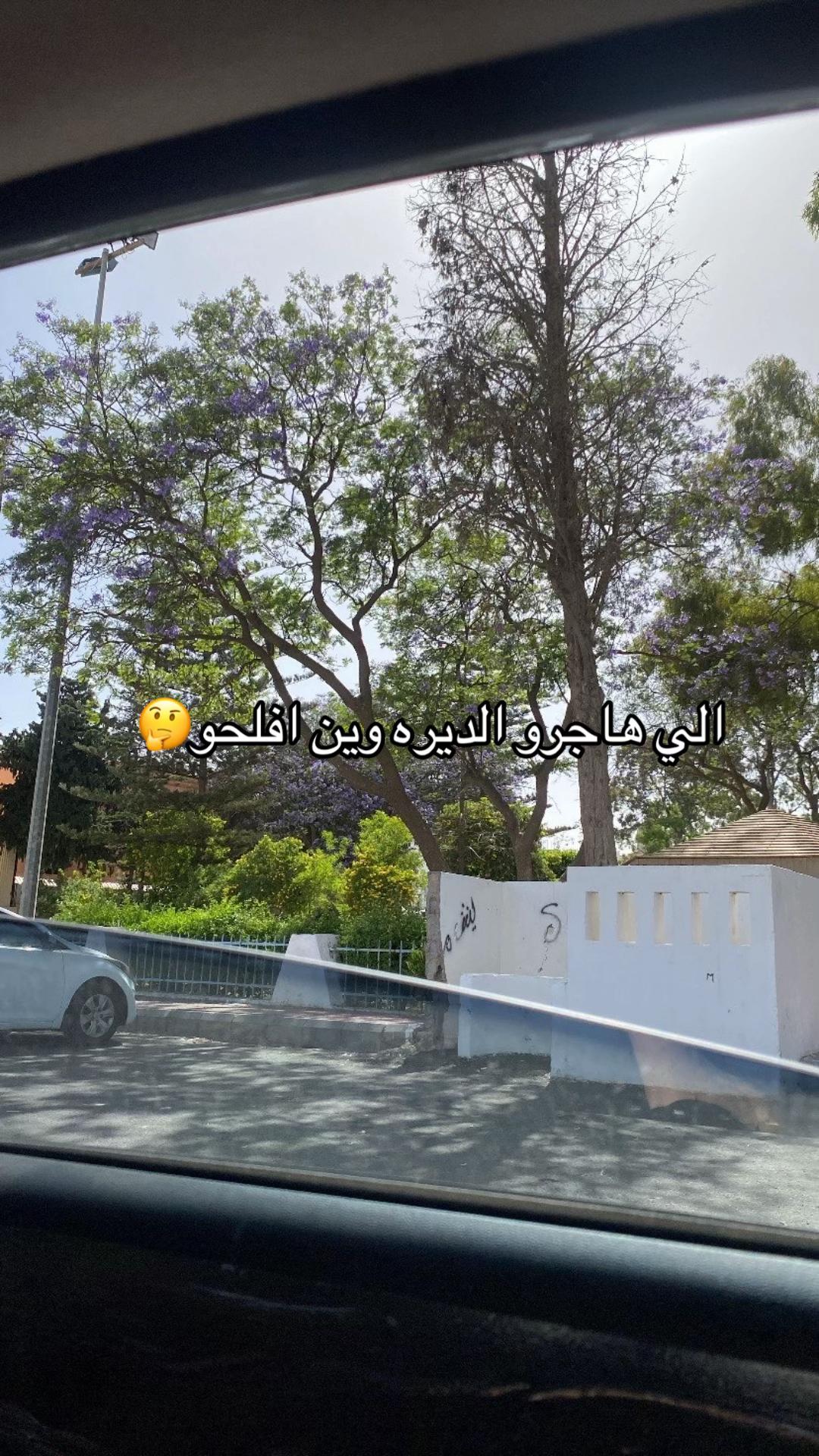 @القــرنـية 𓅓⚜️ .
