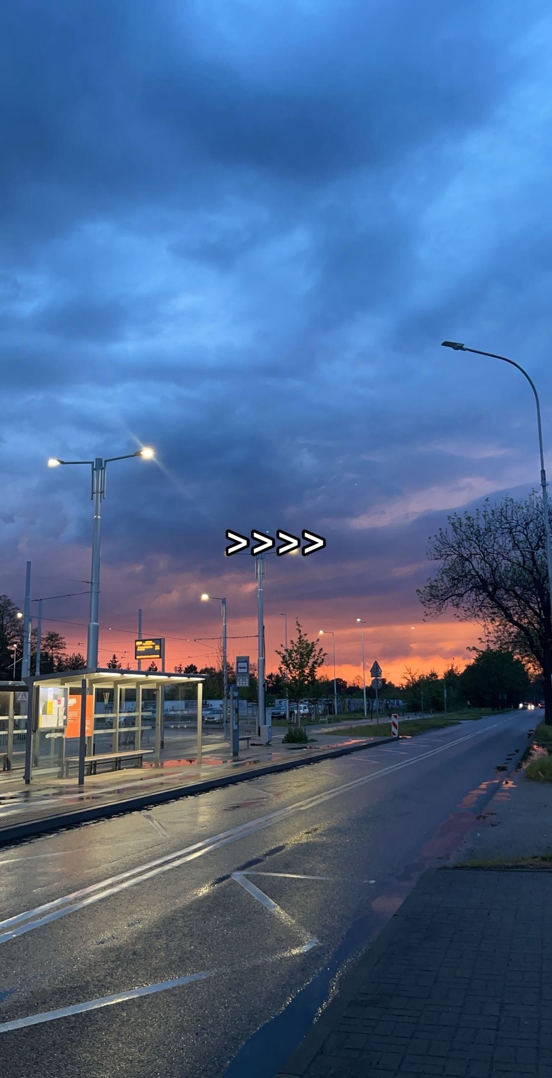 @ig dawid_zarzeczny