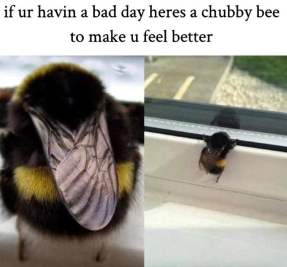 @🔥