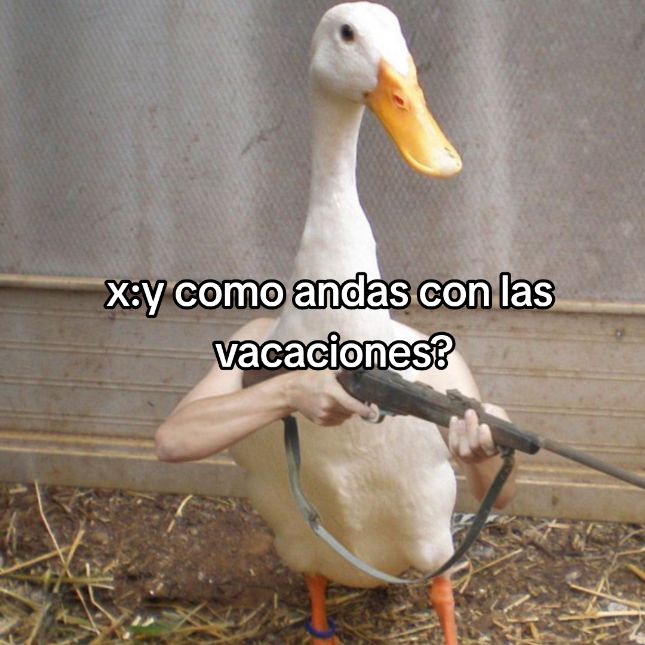 @👾 xlolszp😼👍