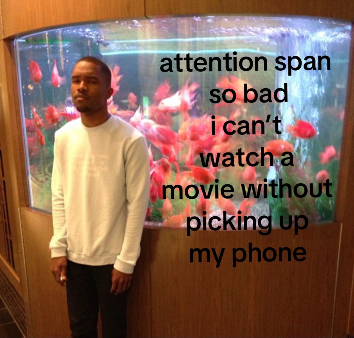 @magnolia