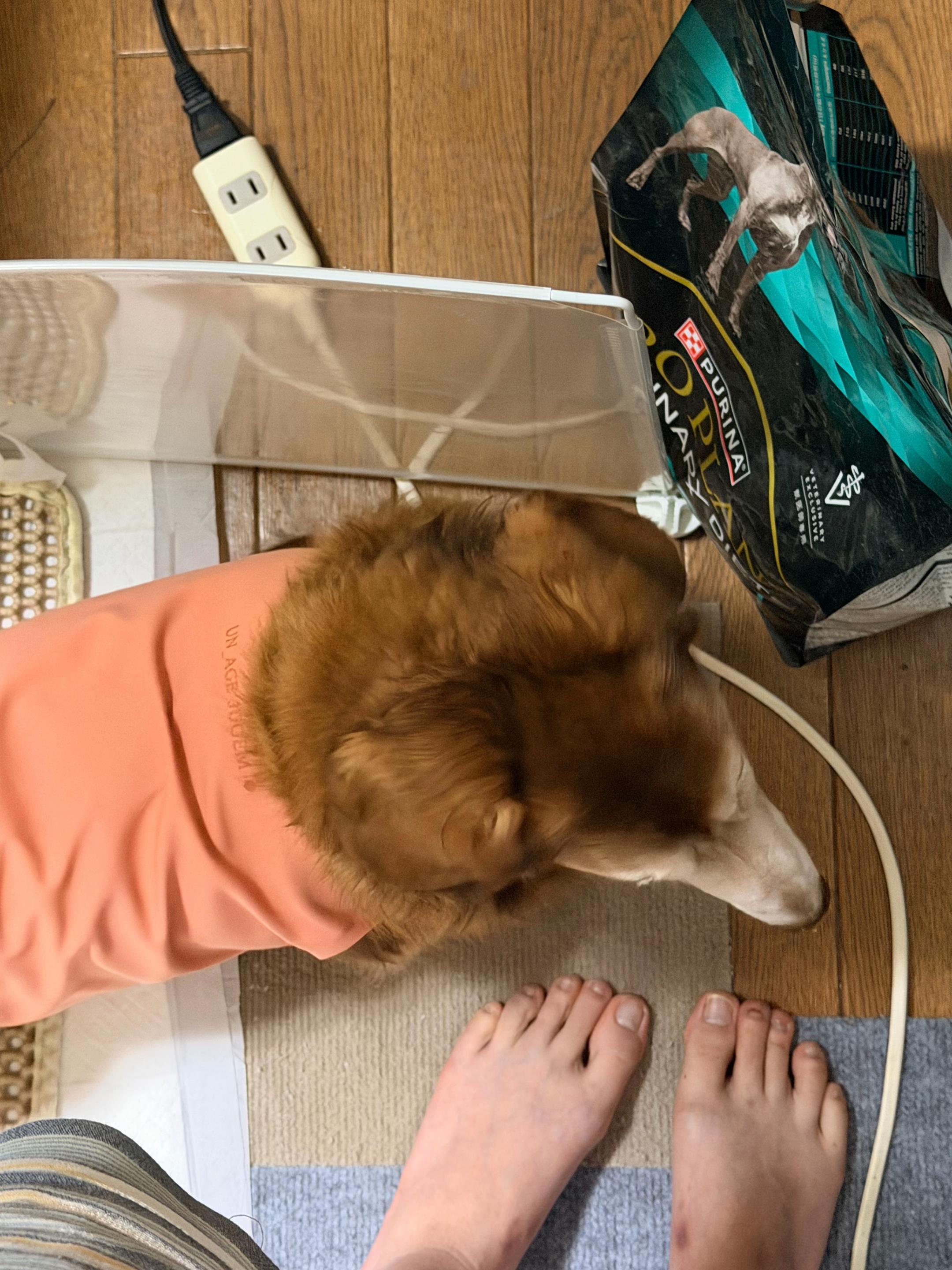 @しもひ