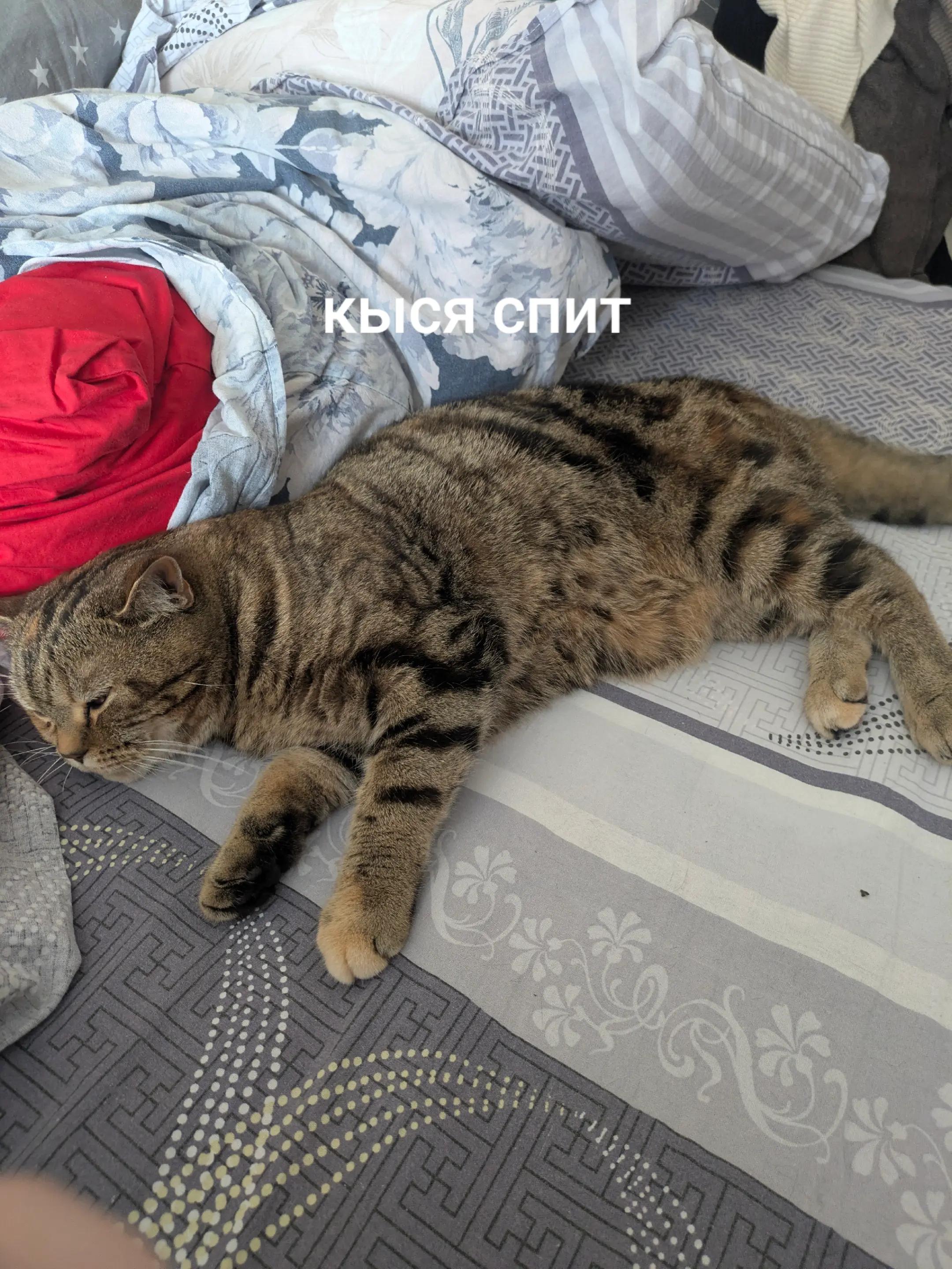 @tëma