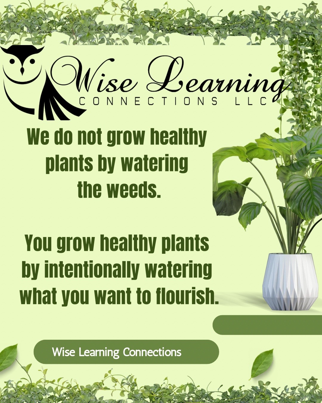 @wiselearningconnections