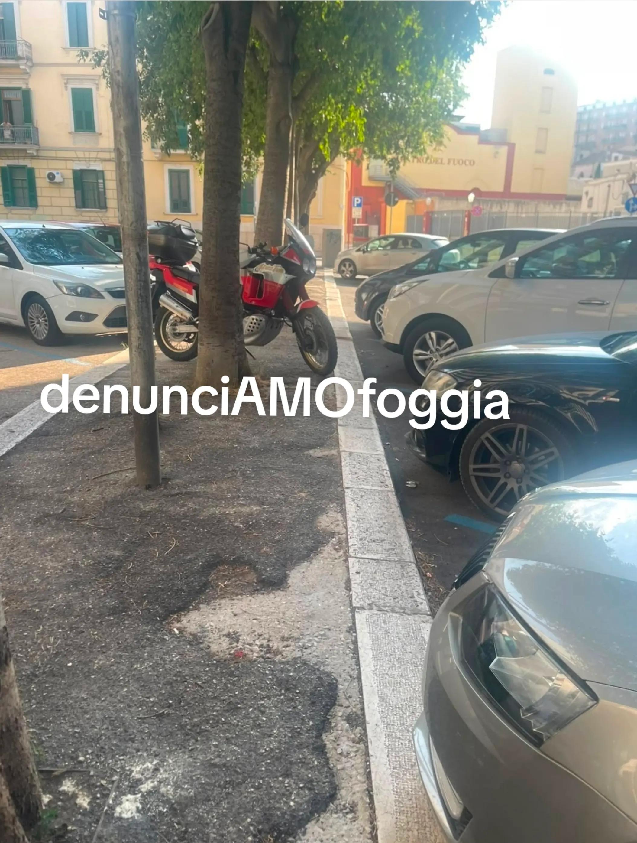 @denunciAMOfoggia