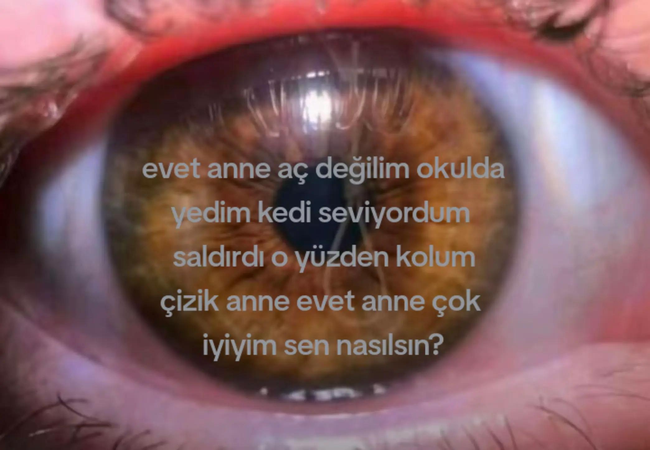 @✚⣾ 𝒶𝓃ℊℯ𝓁 ⣾✚