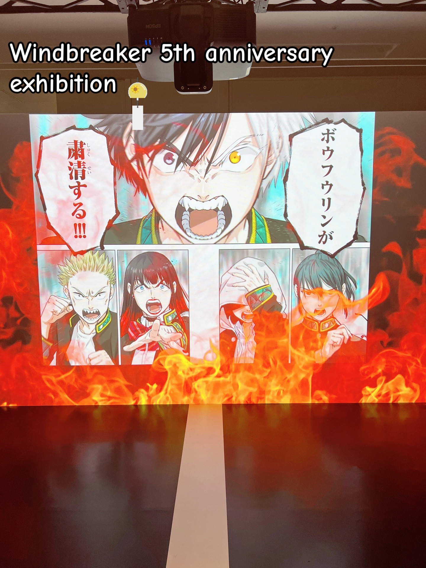 @niconico_kirara