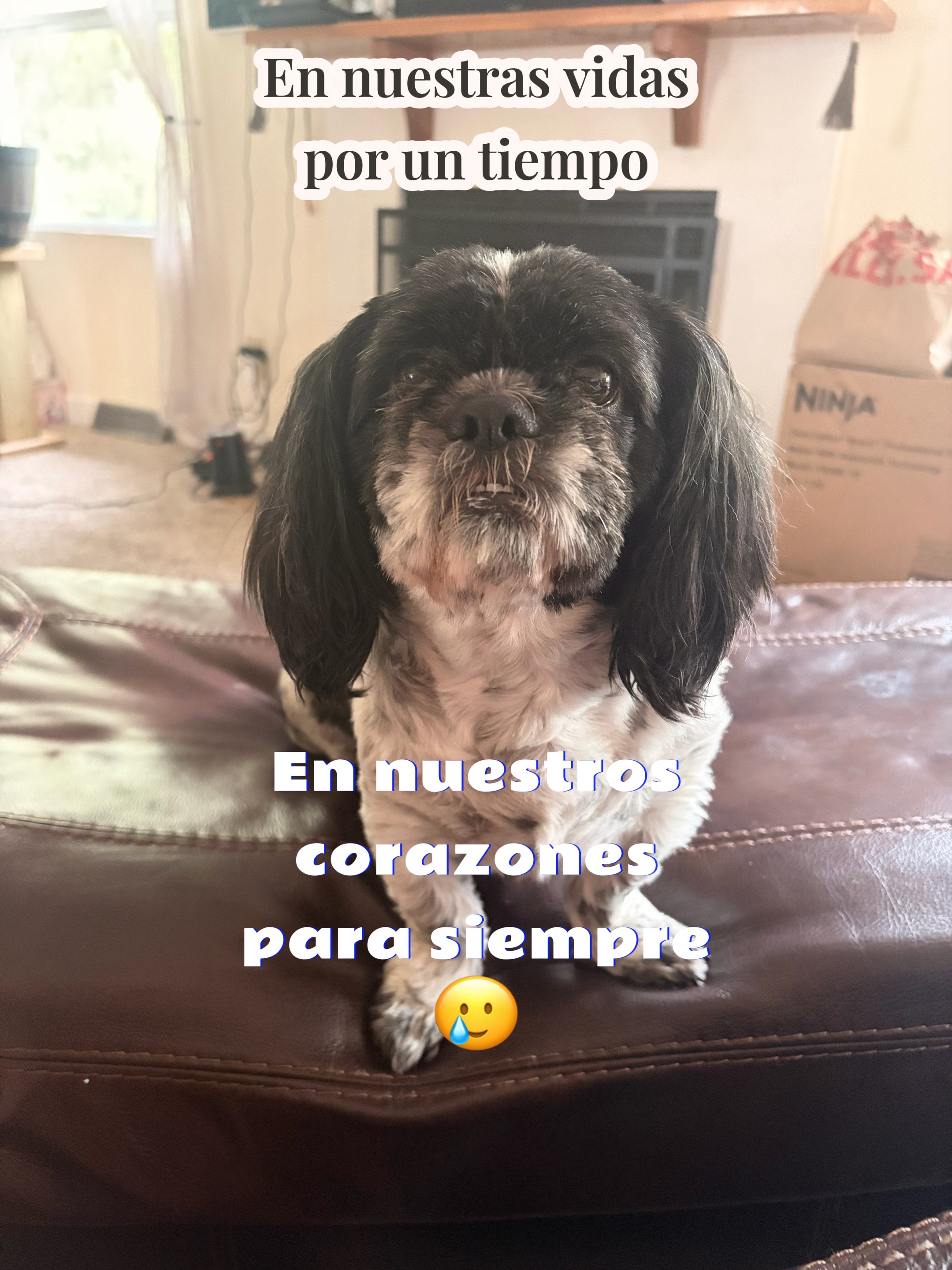 @veneladymarigua