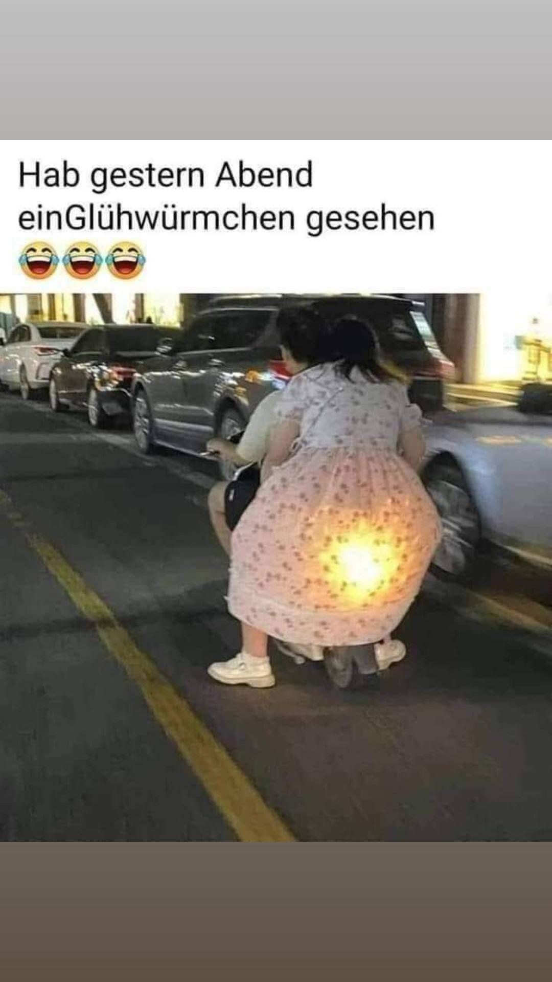 @🐗Fr&auml;nkischer-Rampen- Eber🐗