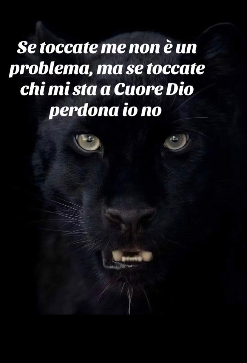 @Francafusaro05