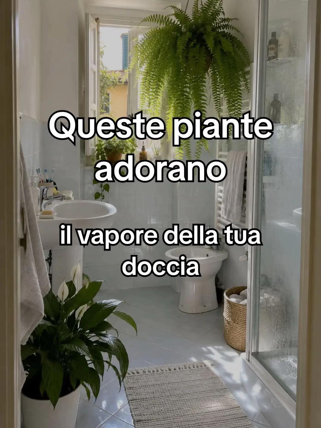 @Anna.dsantis