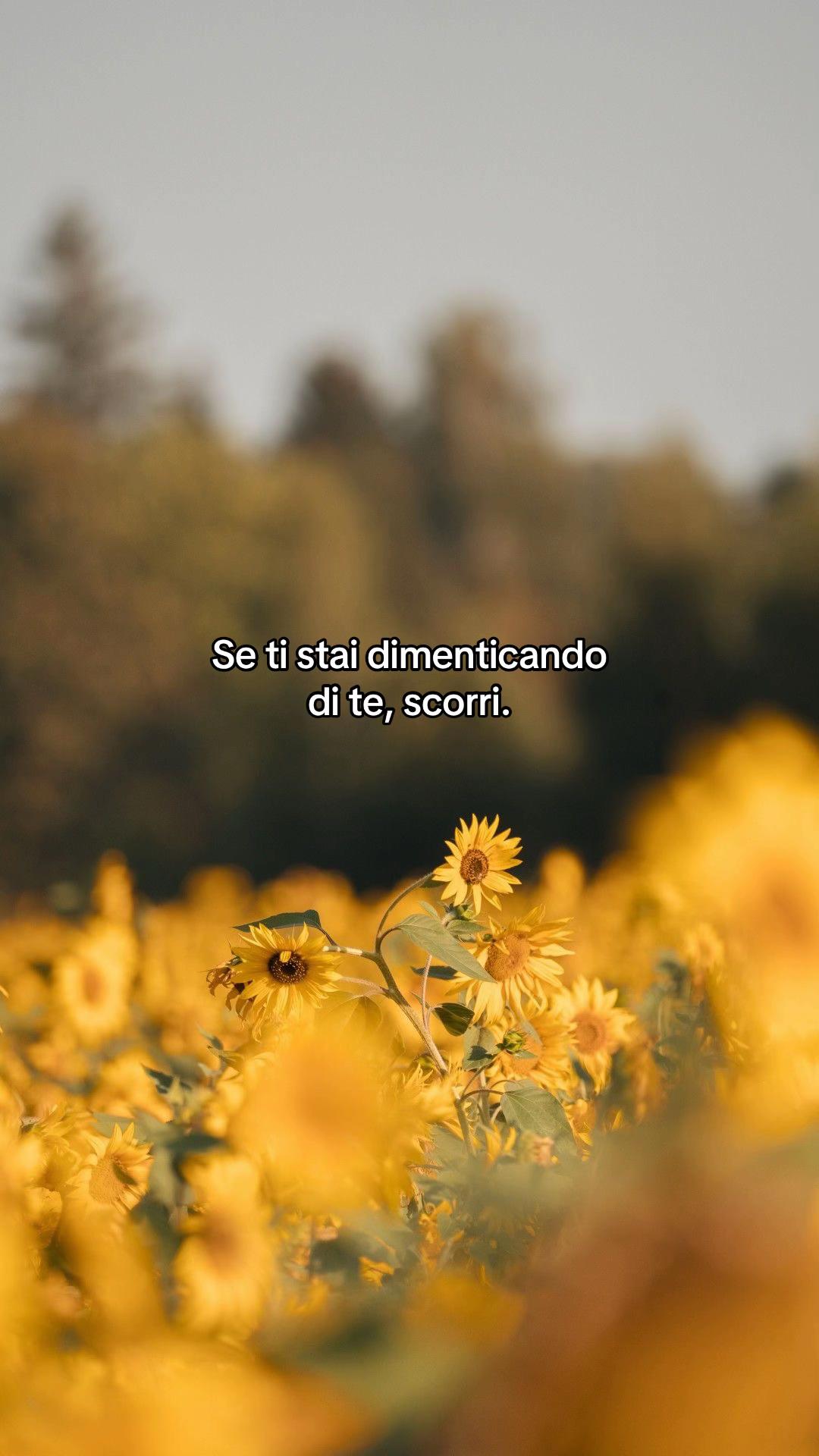 @Ricordati di amarti 🩷