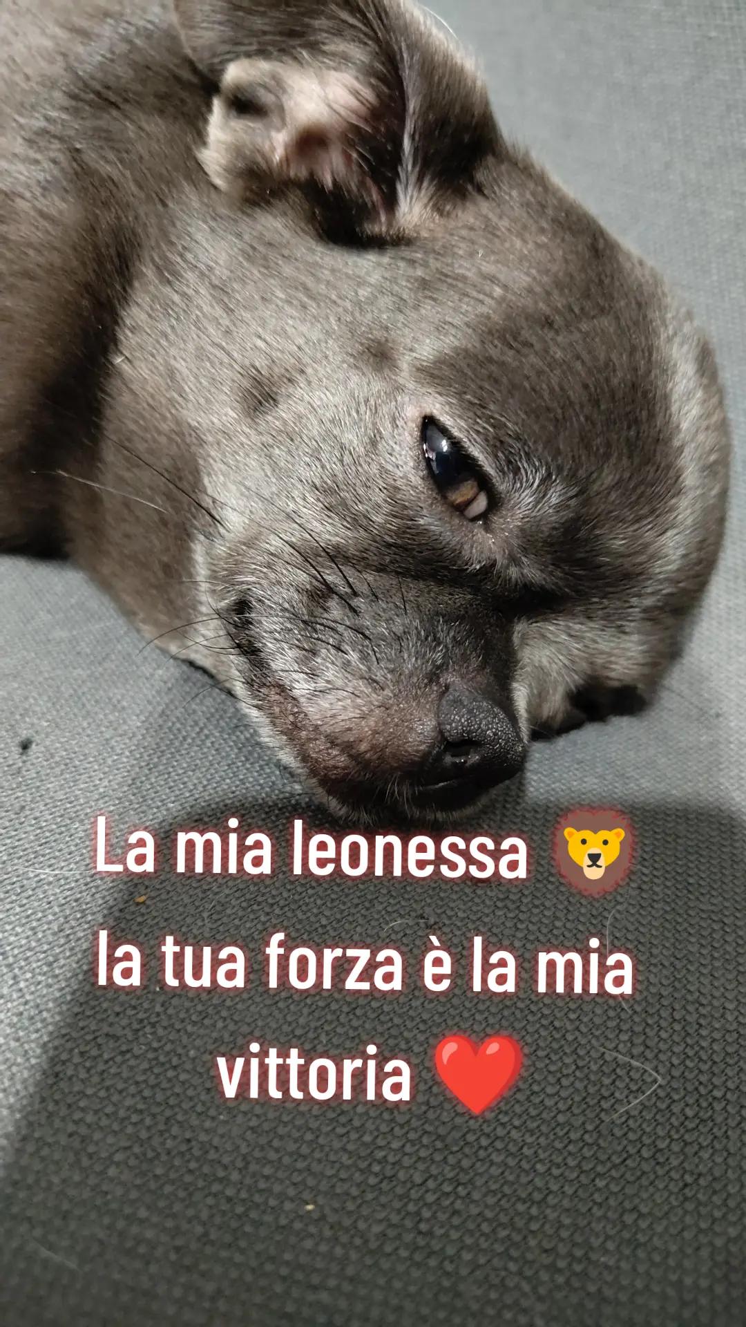 @Marika Greco