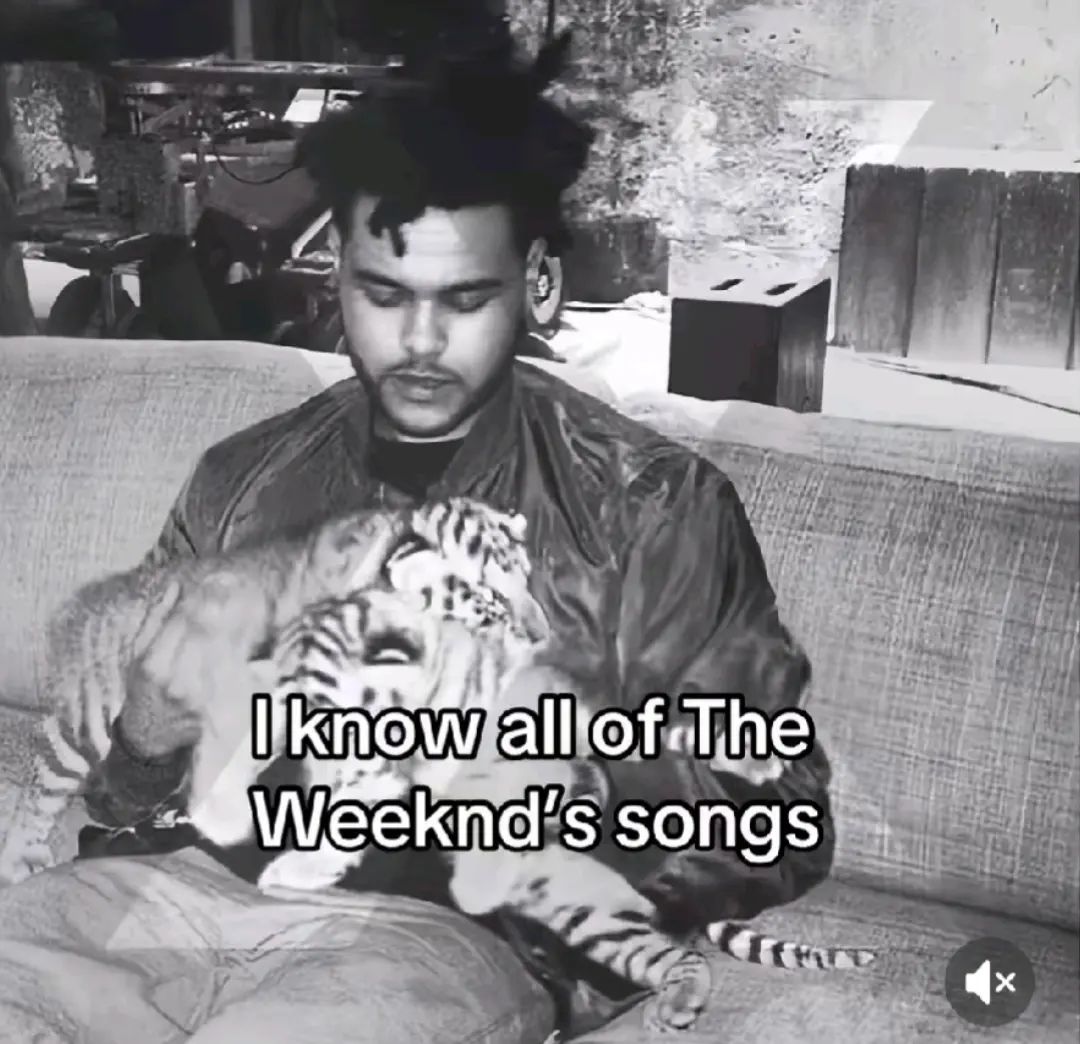 @LiamkoppelsXOart