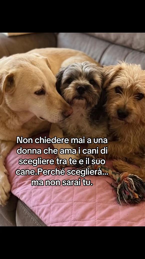 @Tanya Volontaria Animalista