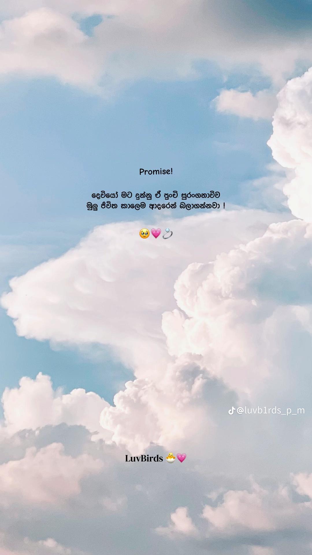 @๐โโโฌโฏ...๐พ๐ด๐๐ธ๐ธ...โฏโฌโโ๐