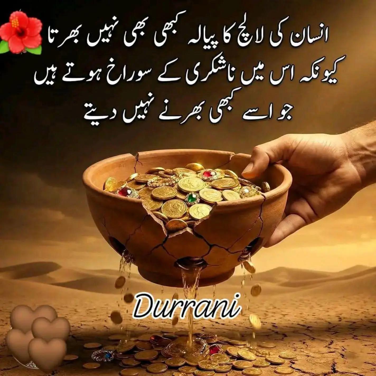 @NOOR QURESHI