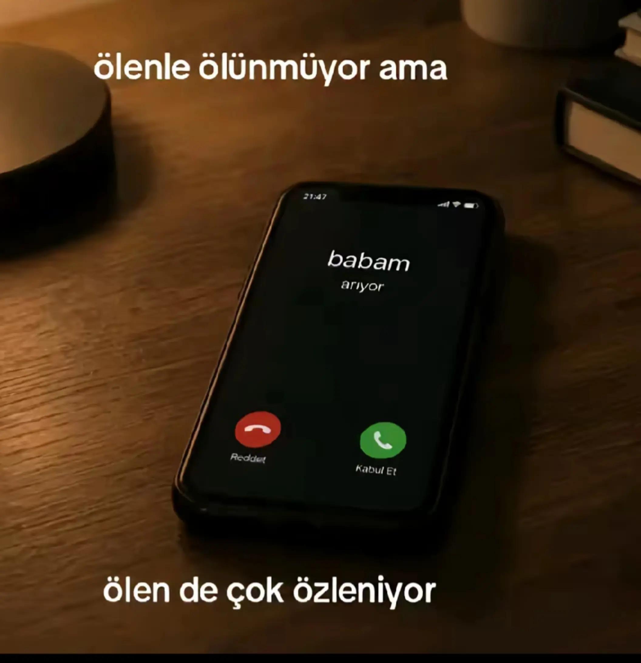 @shryln